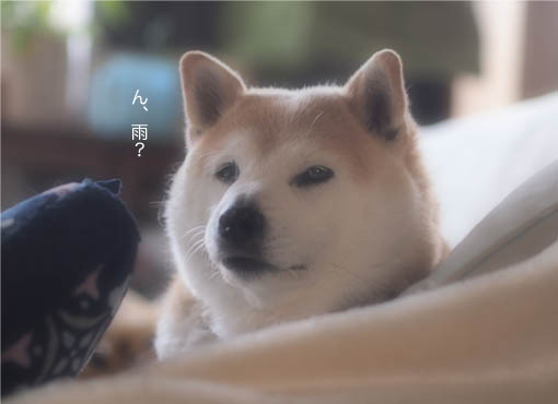 16日ブログ１１.jpg