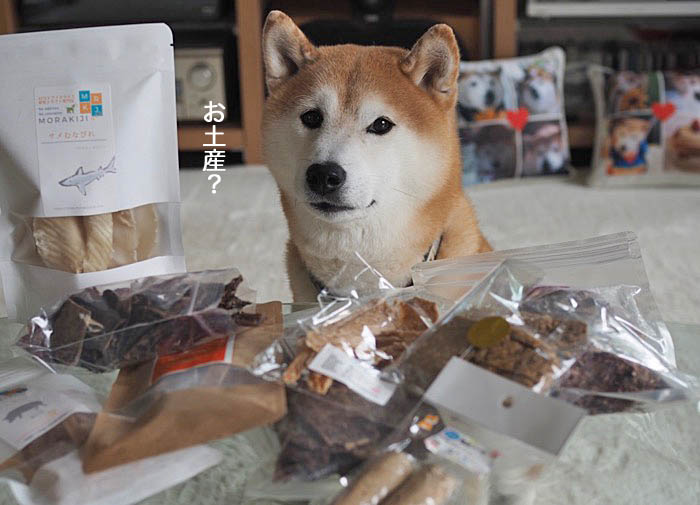 3日ブログ１