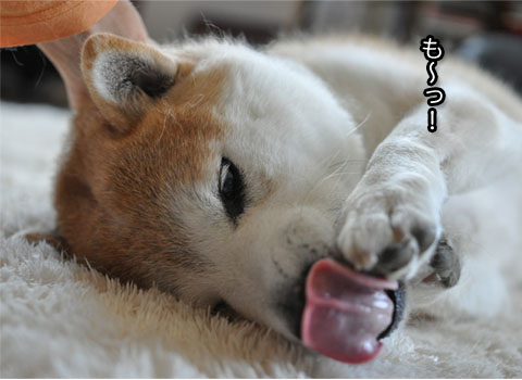 29日ブログ4.jpg