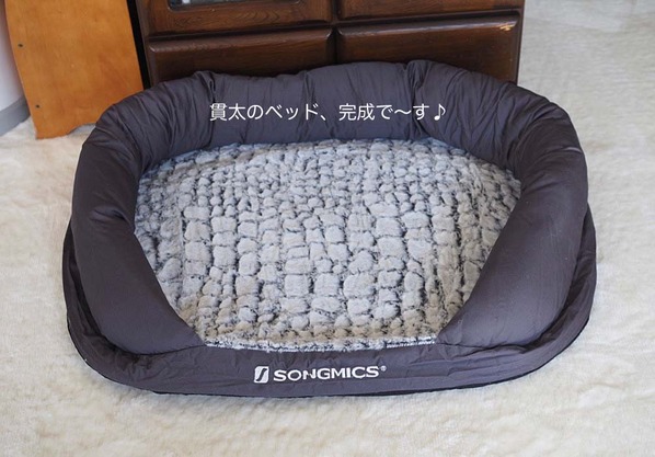 2日ブログ１１