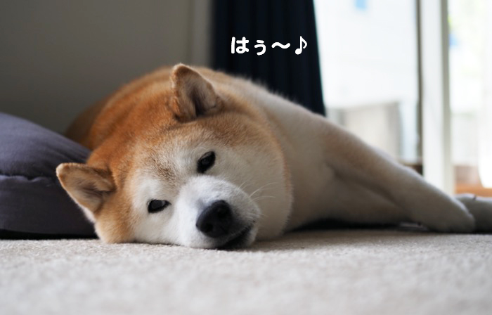 18日ブログ２