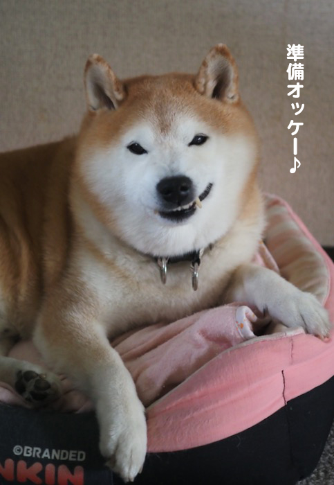 27日夕ブログ７