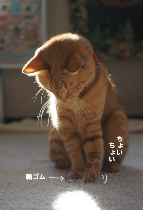 13日夕ブログ２