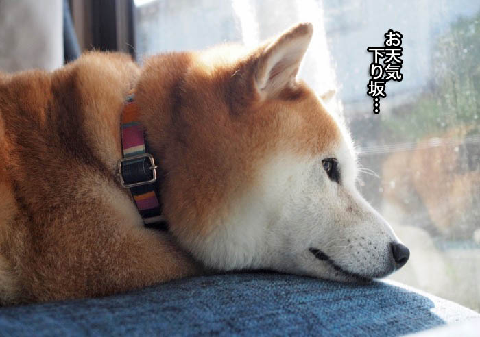 5日ブログ４
