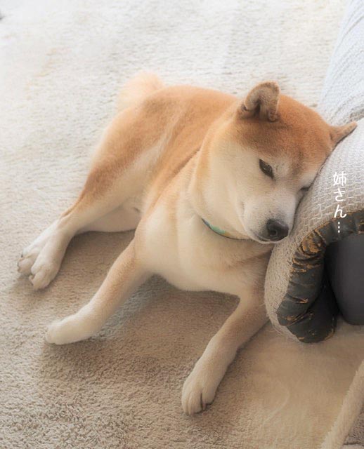7日ブログ4