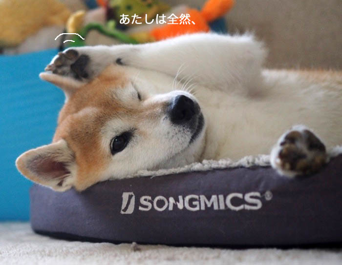 1日夕ブログ３