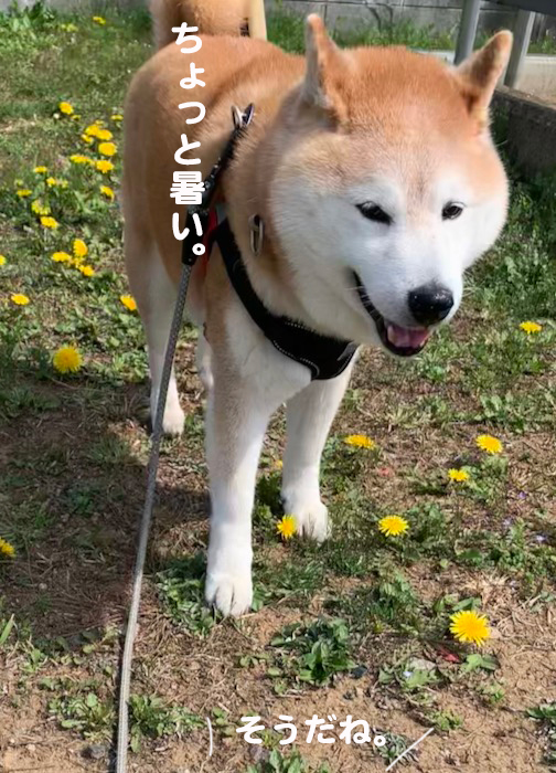 29日ブログ３