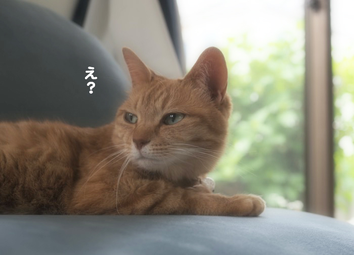 7日ブログ３