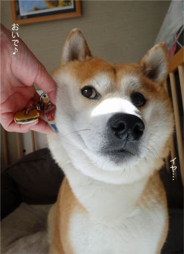 18日ブログ７.jpg