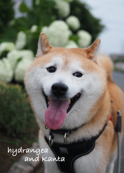 16日ブログ２