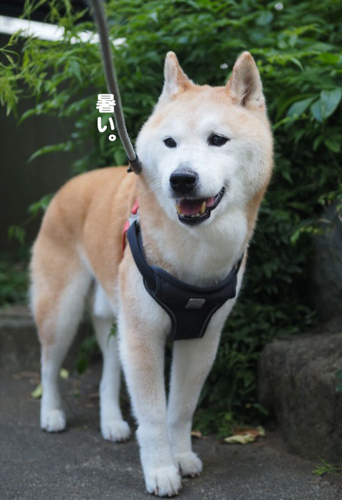 16日ブログ３