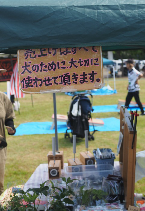 10日夕ブログ２