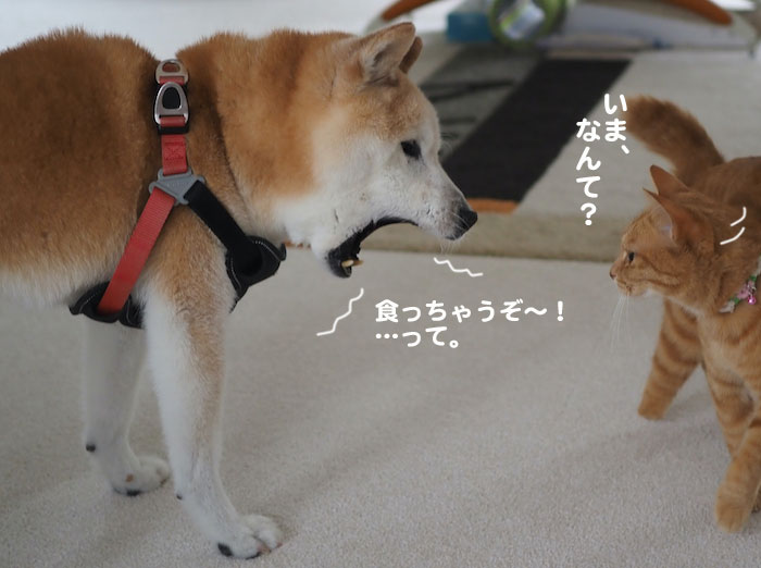 3日夕ブログ３