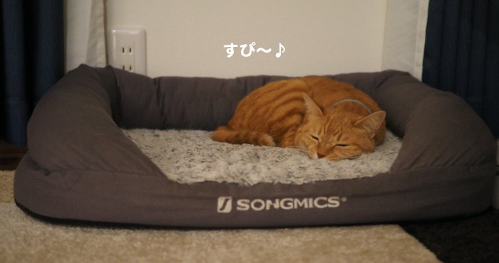 21日夕ブログ２