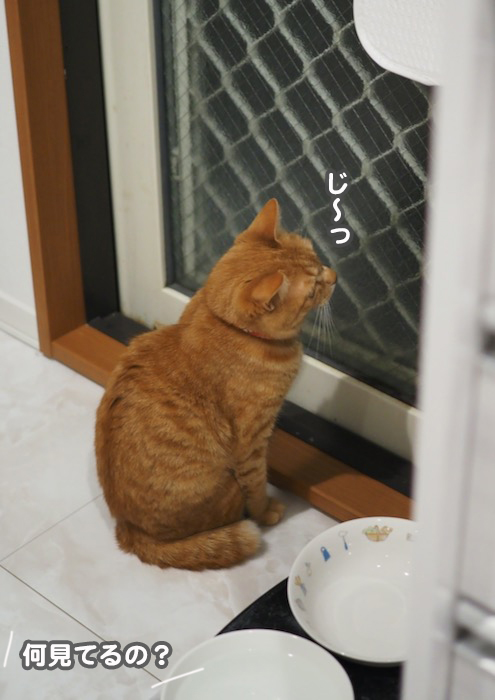 4日夕ブログ２