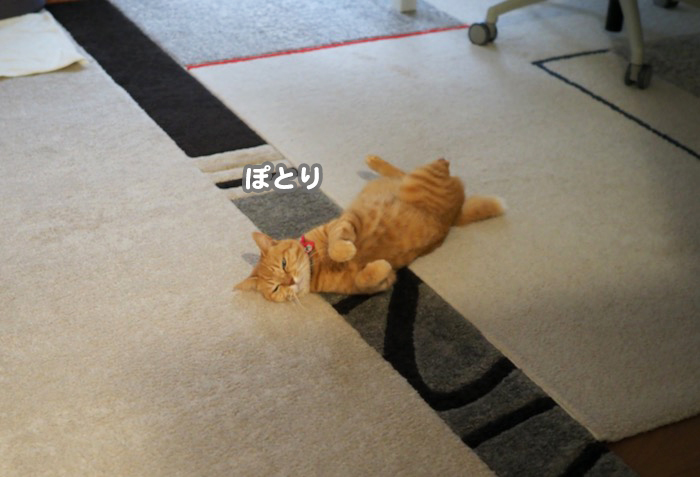 25日夕ブログ2