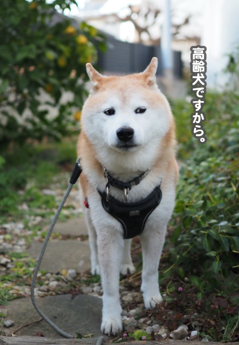 2日夕ブログ３