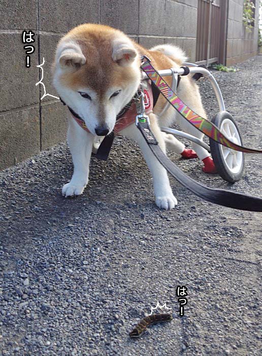 12日夜ブログ２