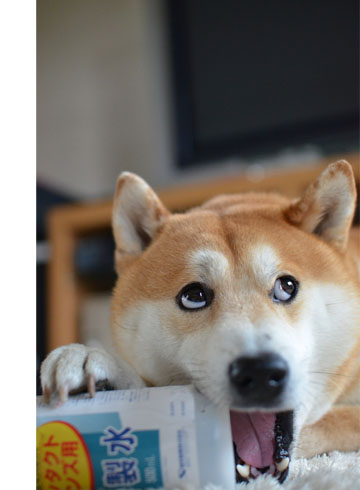 22日ブログ3.jpg