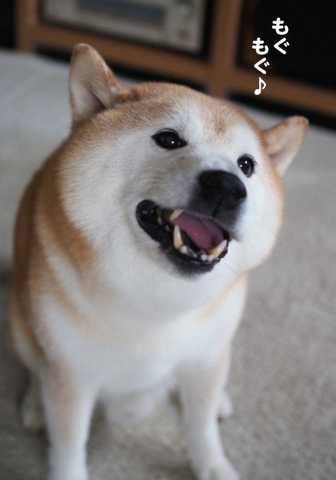 18日ブログ１
