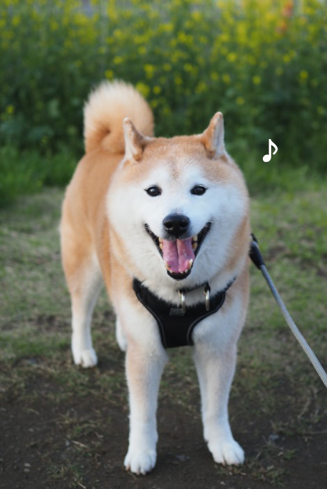 31日ブログ2
