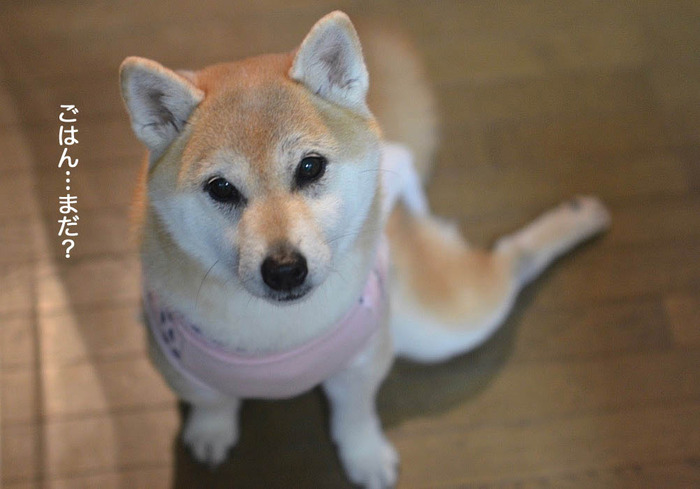 18日ブログ２