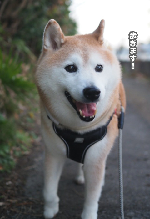 10日ブログ３