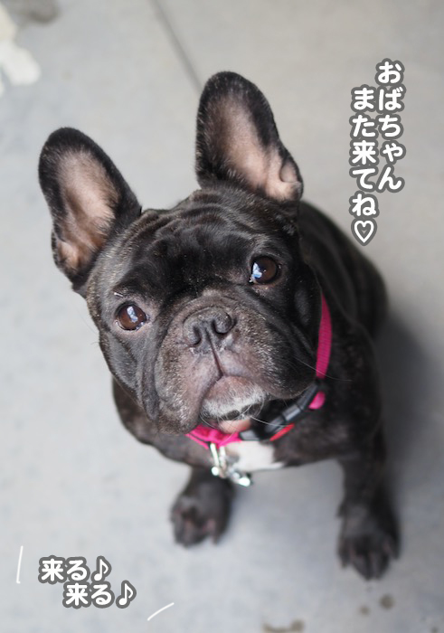 25日夕ブログ３２
