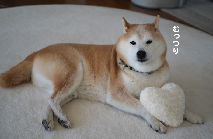 15日夕ブログ３