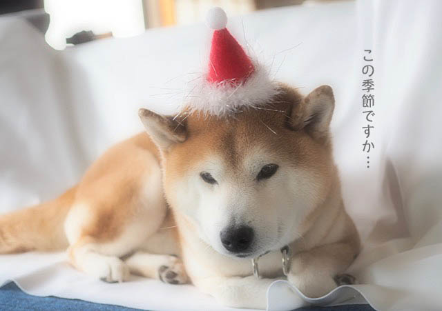 11日ブログ4