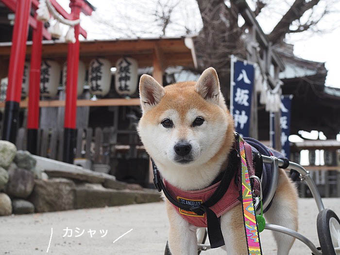 19日ブログ１１