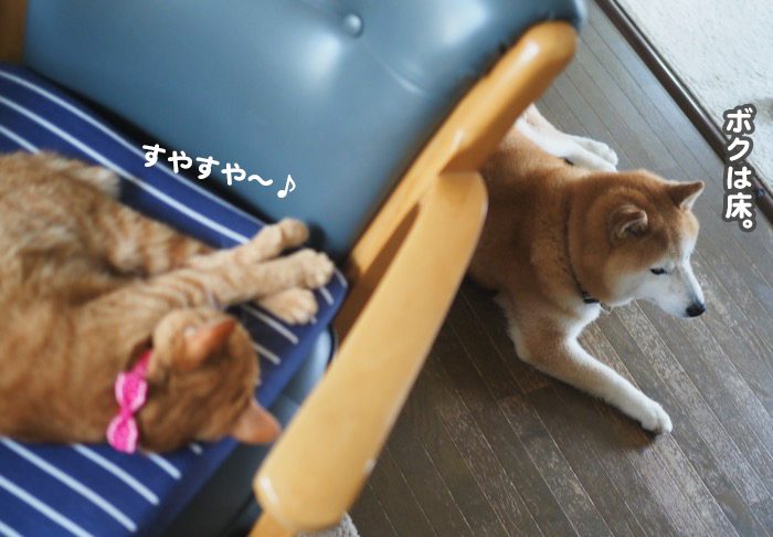 14日夕ブログ２