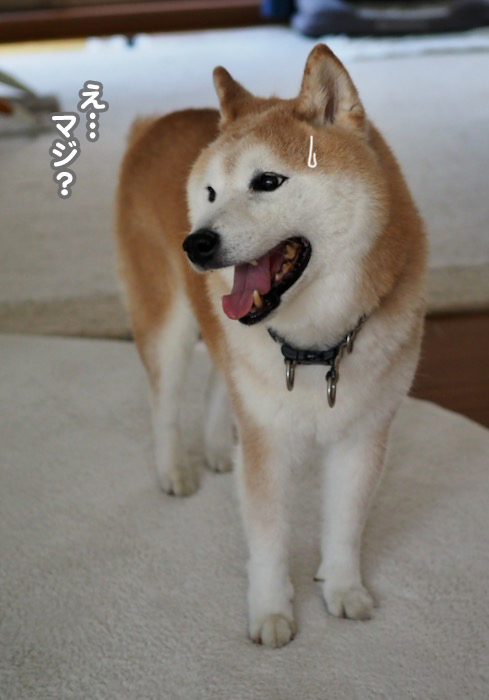 13日ブログ３