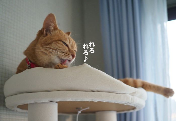 18日夕ブログ６