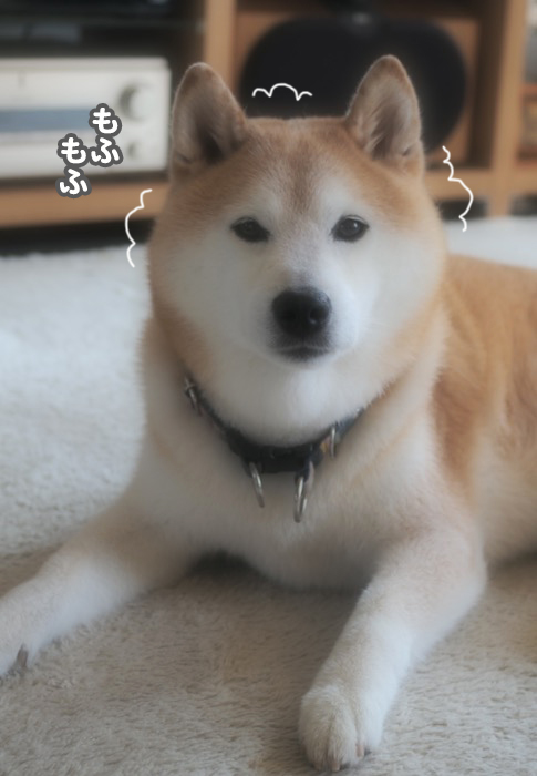 17日ブログ２