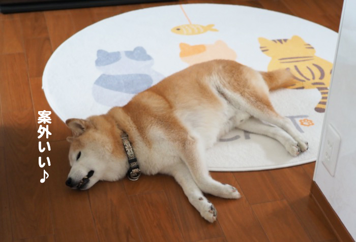23日夕ブログ９