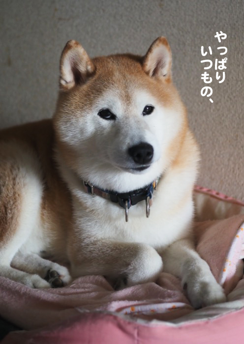 14日夕ブログ３