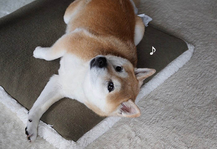 15日夜ブログ２