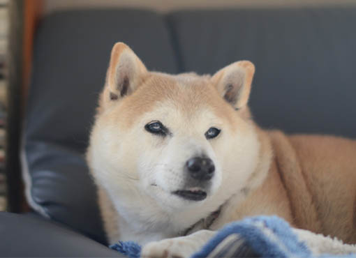 25日ブログ3.jpg