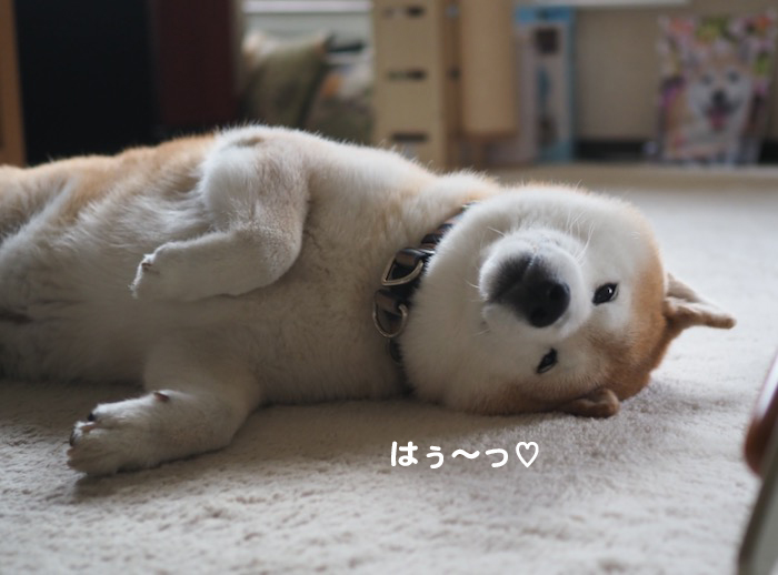 13日用ブログ2