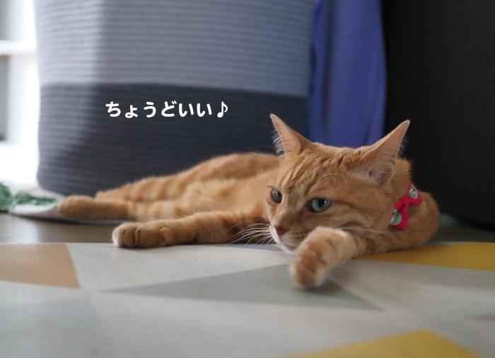 23日夕ブログ４