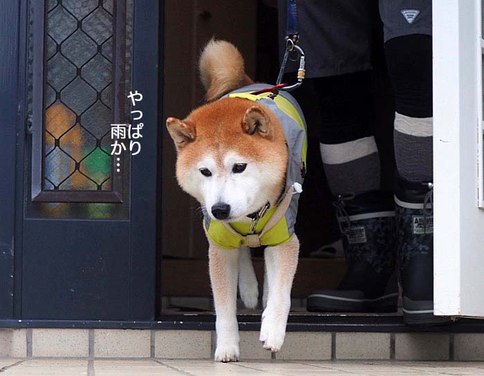 5日夕ブログ５