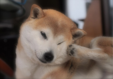 8日ブログ１４.jpg