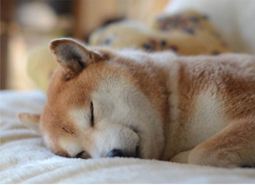 11日ブログ7.jpg