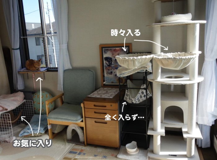29日夕ブログ２