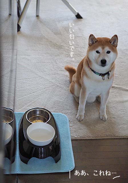 21日ブログ4