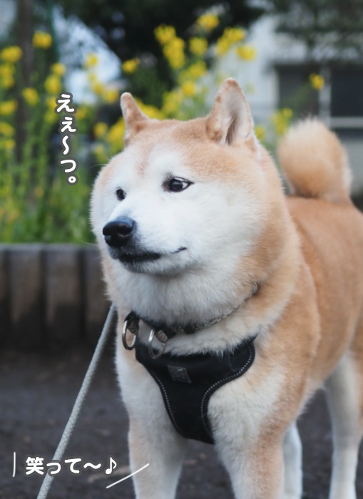 15日夕ブログ３