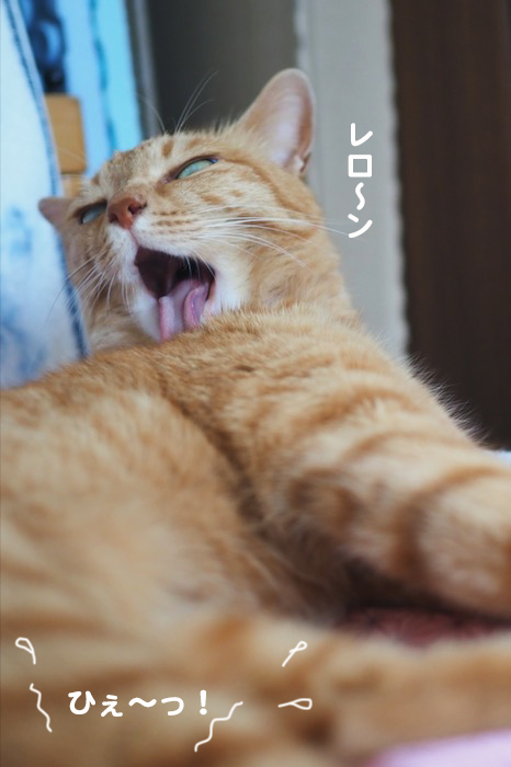 13日夕ブログ５