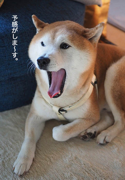 10日ブログ３
