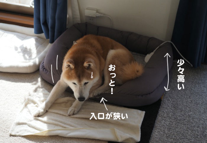 26日夕ブログ３